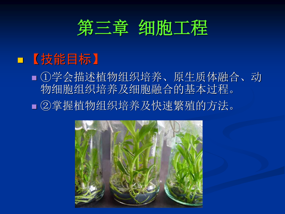 植物细胞工程及其应用.ppt_第3页