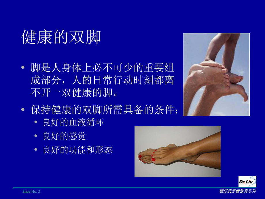 糖尿病足的防治.ppt_第2页