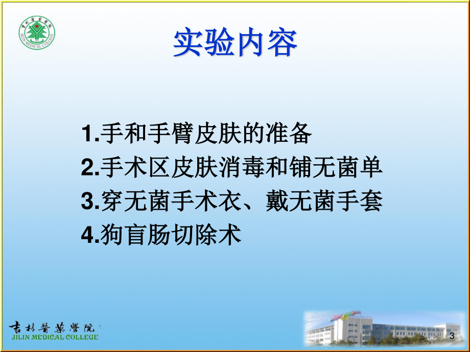 狗盲肠切除术.ppt_第3页