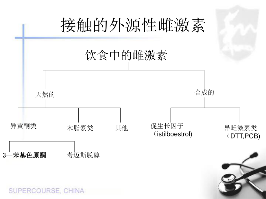 植物雌激素在癌症病因学中作用.ppt_第3页