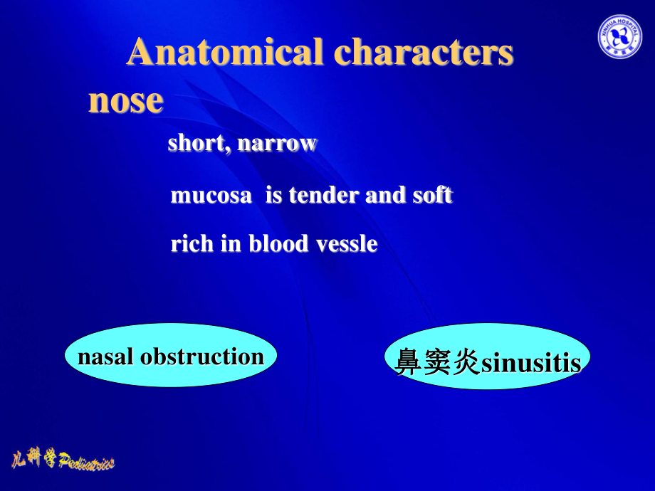 急性呼吸道感染-04级八年制.ppt_第3页