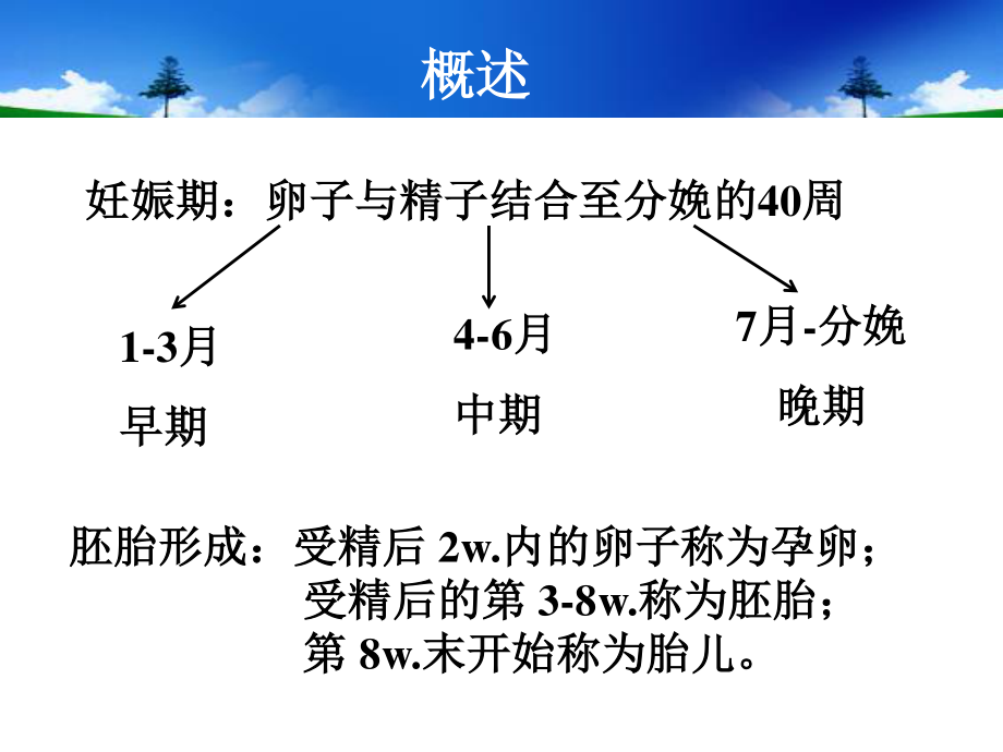 妊娠期和哺乳期用药.ppt_第3页