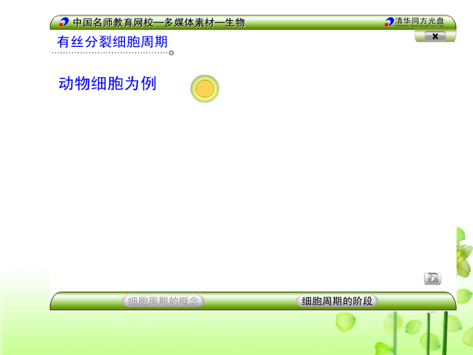 植物细胞有丝分裂(附动画).ppt_第3页