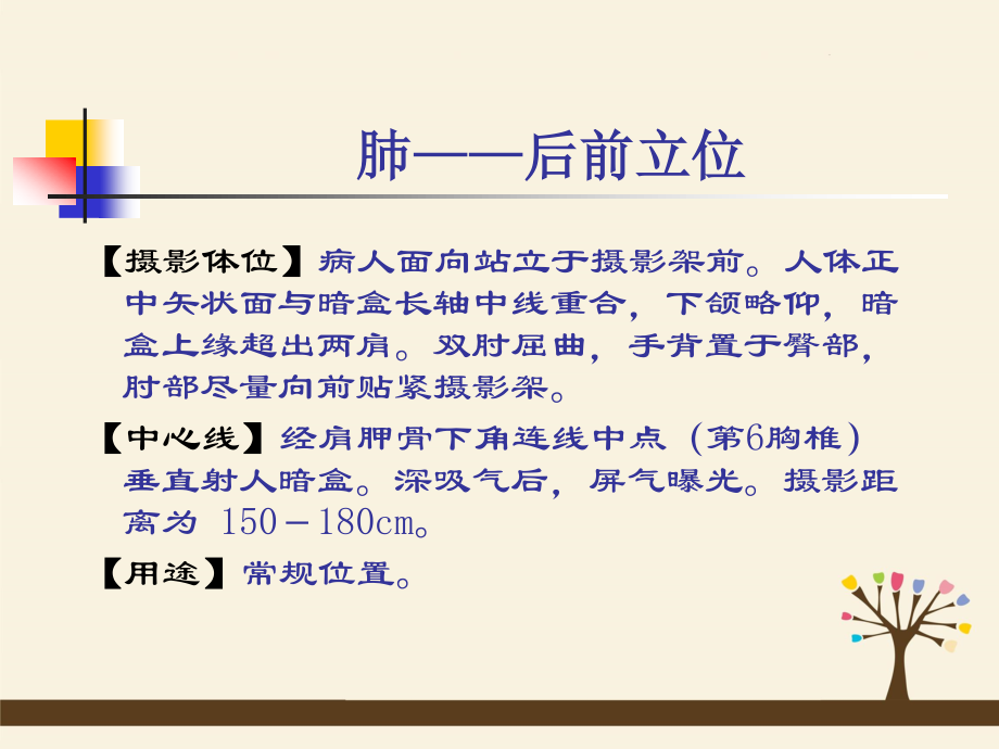 呼吸、循环、消化、泌尿影像学.ppt_第1页