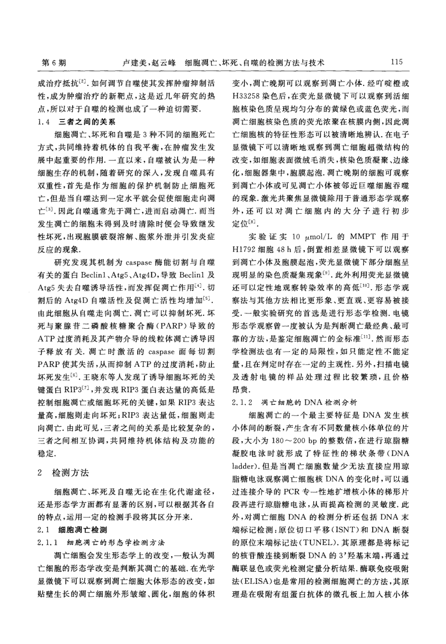 细胞凋亡、坏死、自噬的检测方法与技术1.pdf_第2页