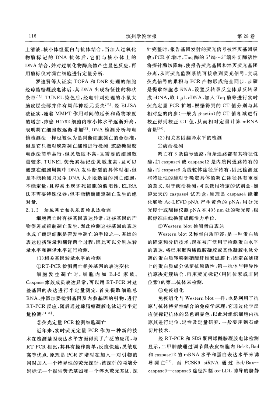 细胞凋亡、坏死、自噬的检测方法与技术1.pdf_第3页