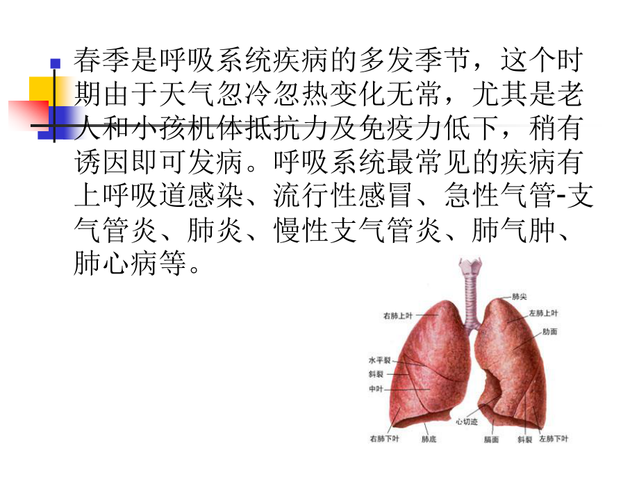 急性呼吸道传染病.ppt_第3页