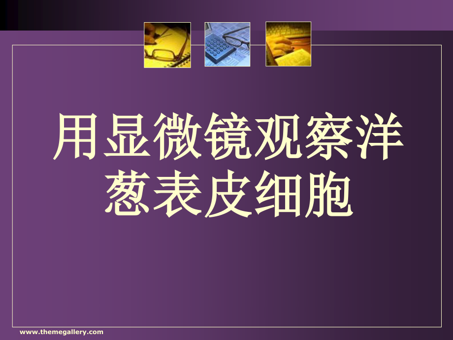 用显微镜观察洋葱表皮细胞.ppt_第1页