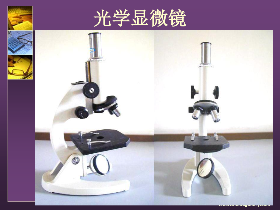 用显微镜观察洋葱表皮细胞.ppt_第3页