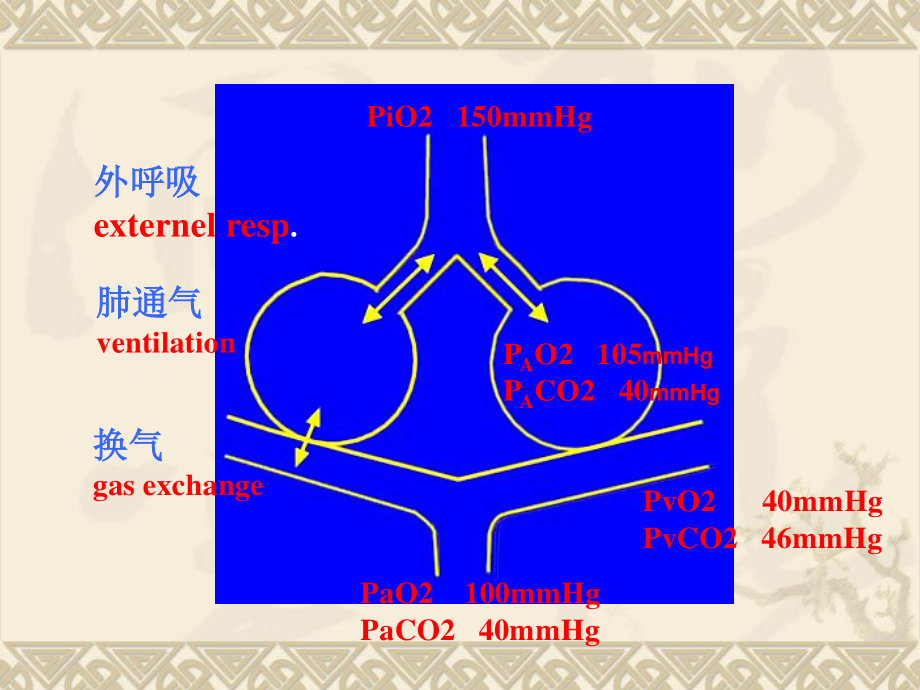 呼吸衰竭respiratoryfailure一、概述定义：外呼吸(1).ppt_第2页