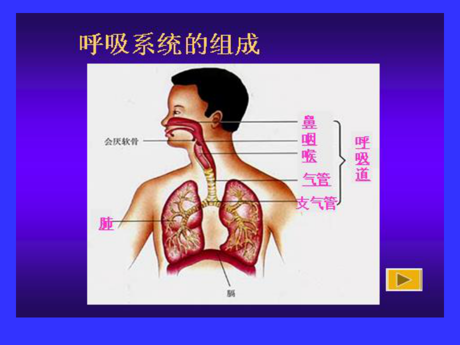 发生在肺内的气体交换1.ppt_第1页