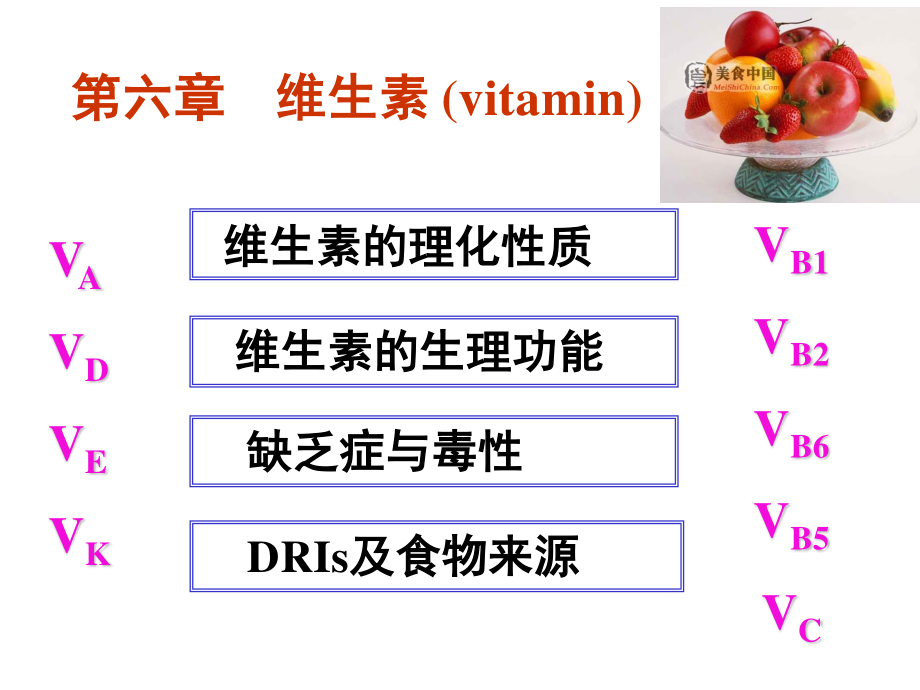 食品营养学-维生素.ppt_第2页