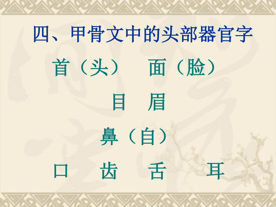 甲骨文头部器官字(四).ppt_第1页