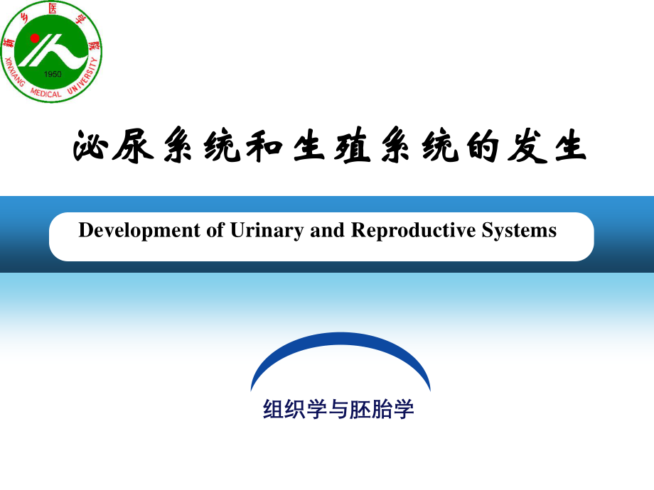 泌尿系统和生殖系统的发生.pptx_第2页