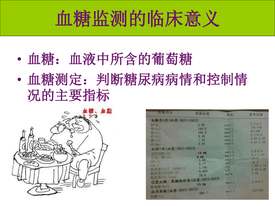 血糖监测仪的使用资料.ppt_第2页