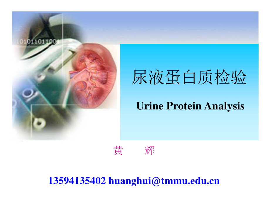 尿液蛋白质检验一.ppt_第2页