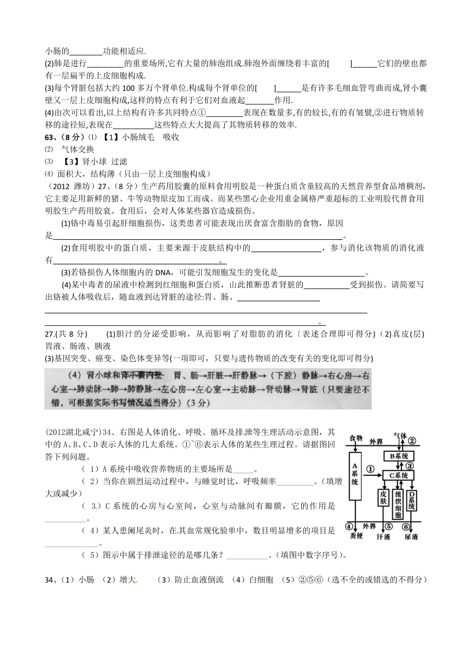 消化、呼吸、循环、泌尿综合题.doc_第3页