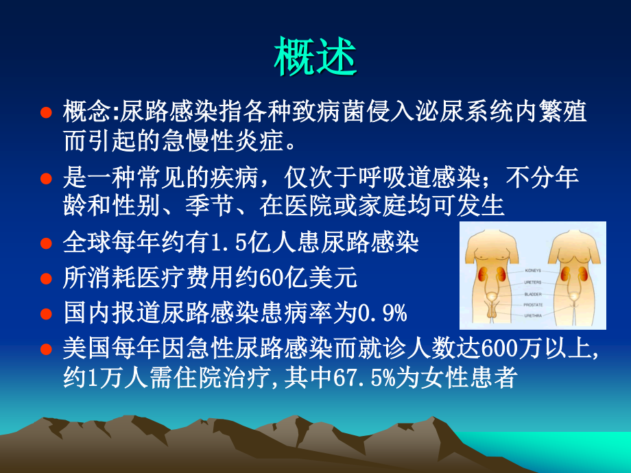 泌尿-HYC.ppt_第2页