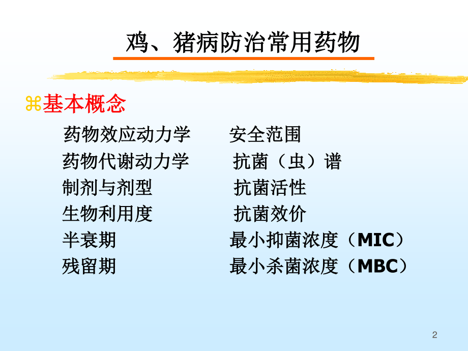 用药技巧.ppt_第2页