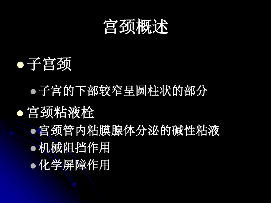 宫颈HPV感染及其它宫颈感染.ppt_第2页