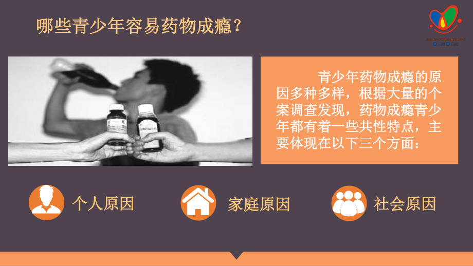 家长防毒识毒方法及应用.ppt_第2页