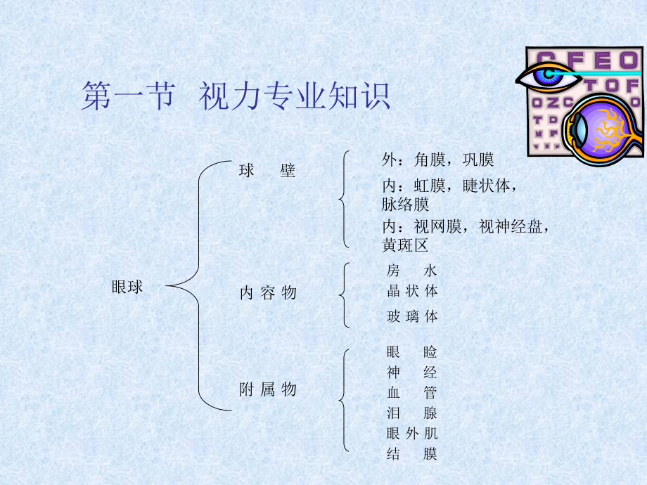 眼科知识.ppt_第1页