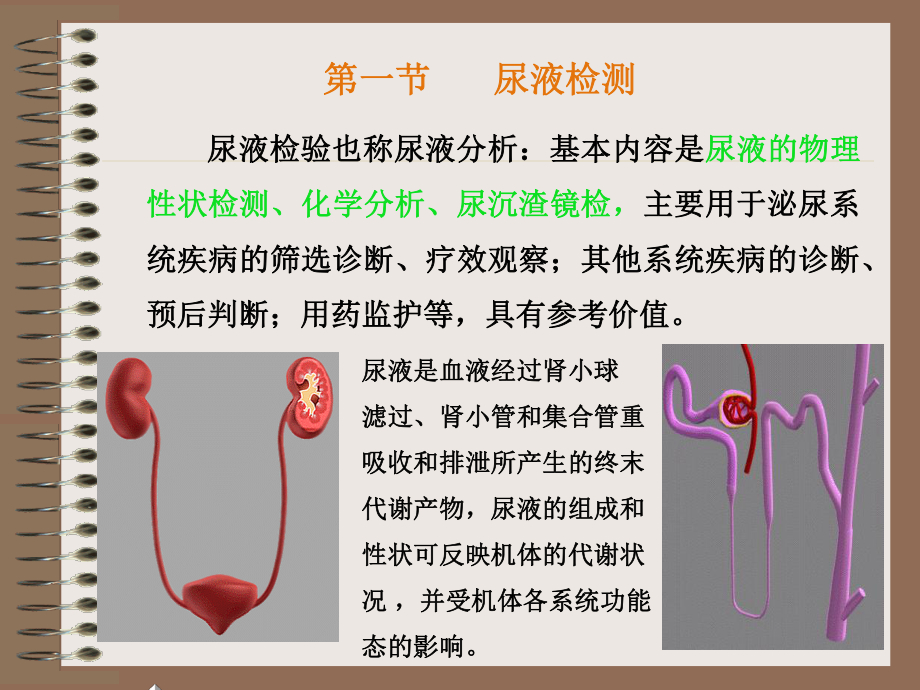 尿常规和沉渣检查.ppt_第2页