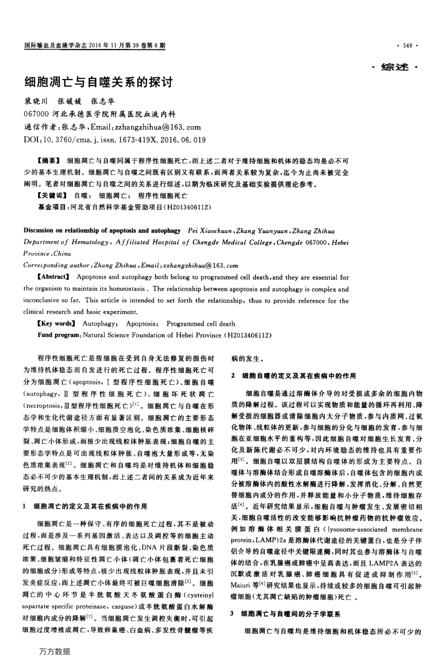 细胞凋亡与自噬关系的探讨要点.pdf_第1页