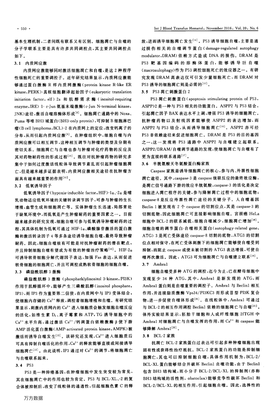 细胞凋亡与自噬关系的探讨要点.pdf_第2页