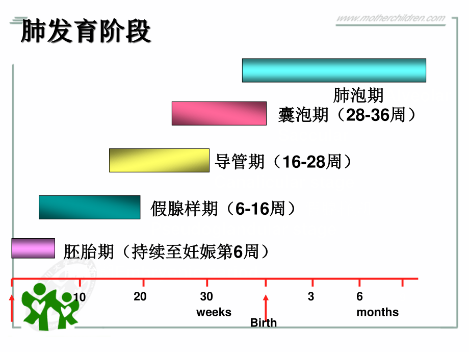 早产儿肺损伤诊治进展.ppt_第2页