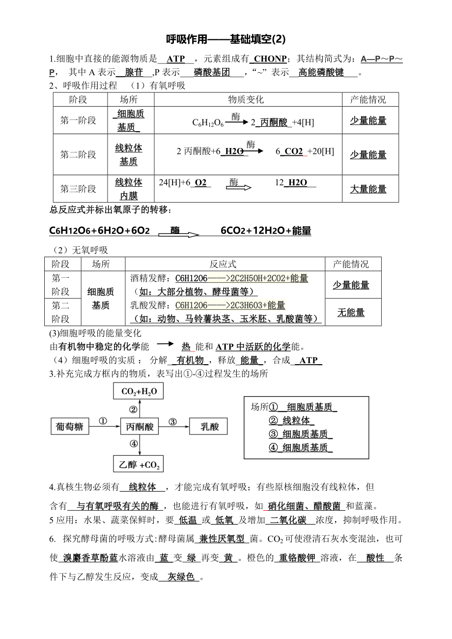 呼吸基础知识填空.doc_第2页