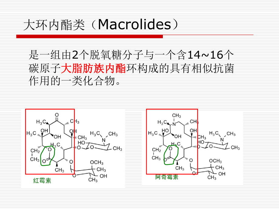 大环内脂.ppt_第2页