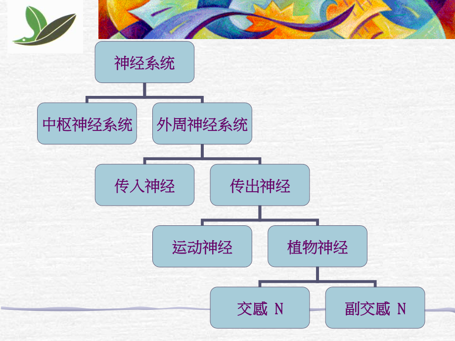 拟胆碱药.ppt_第2页