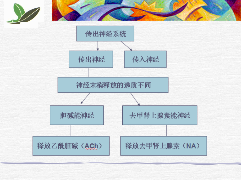 拟胆碱药.ppt_第3页