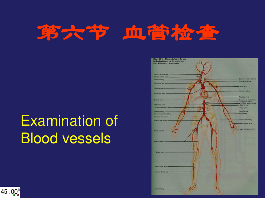 血管检查和常见异常.ppt_第1页