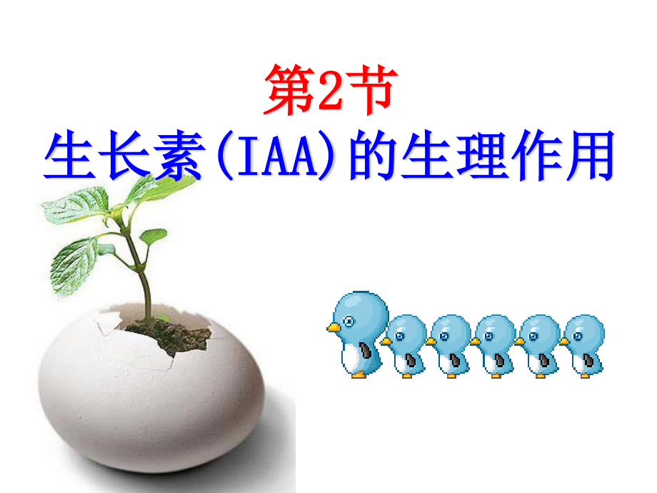 生长素的生理作用---副本.ppt_第1页