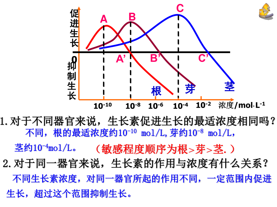 生长素的生理作用---副本.ppt_第2页