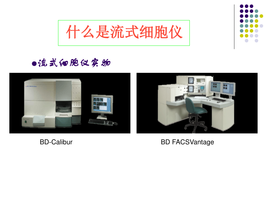 流式细胞仪(Flow-Cytometer)基础简介.ppt_第3页