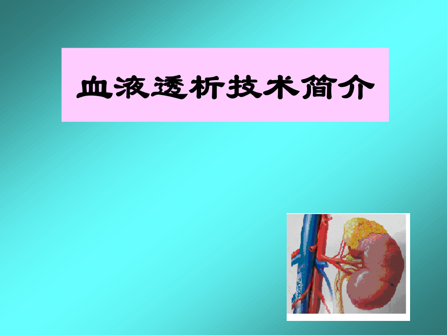 血液透析技术.ppt_第1页