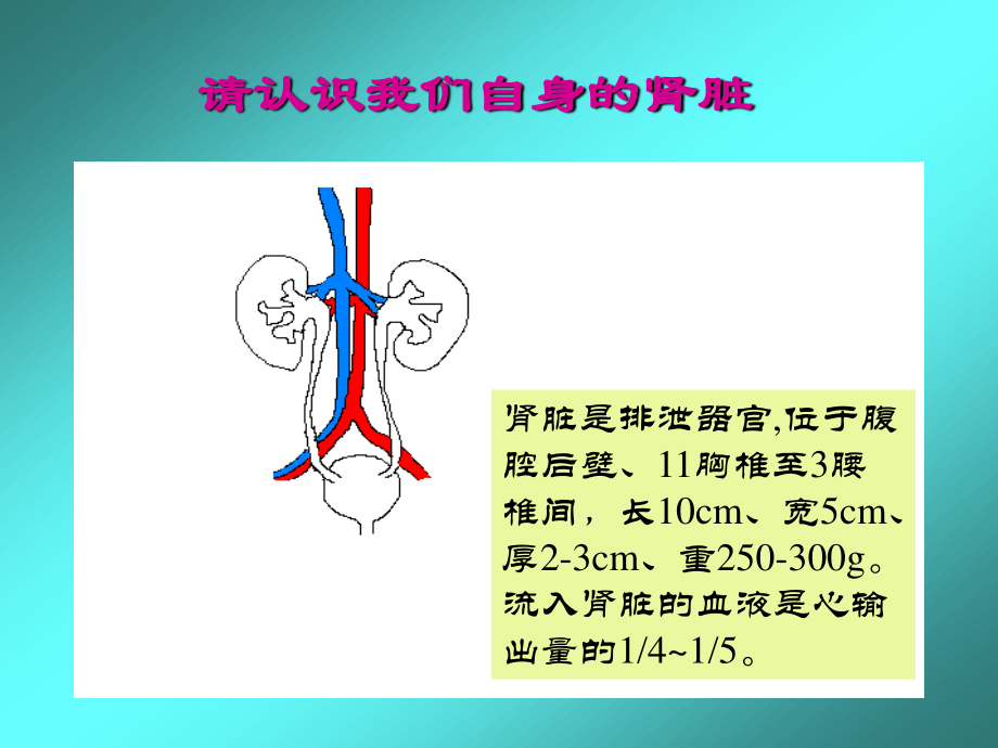 血液透析技术.ppt_第2页