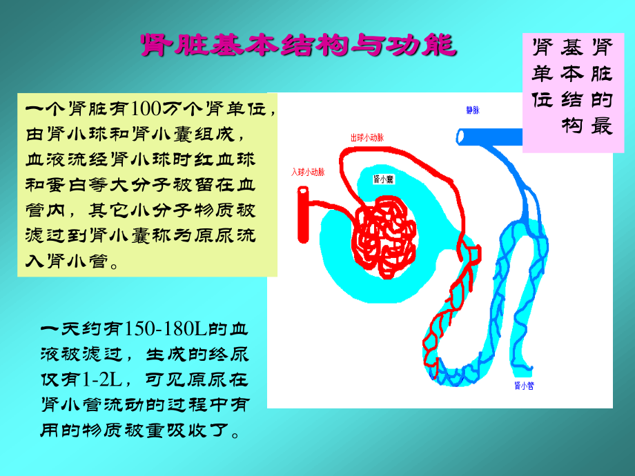 血液透析技术.ppt_第3页