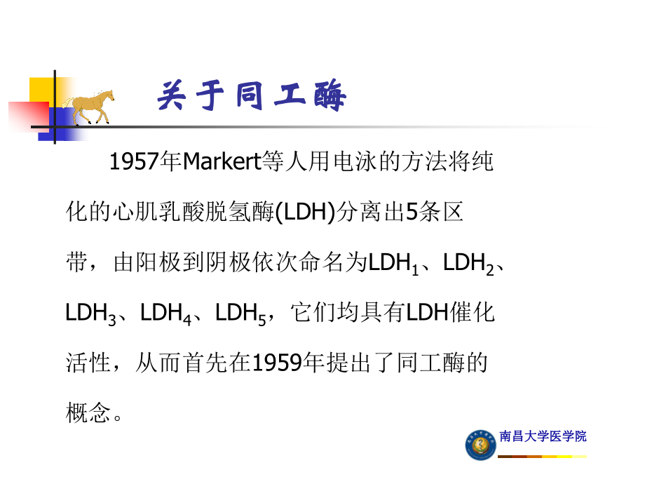 血清LDH同工酶测定.ppt_第2页