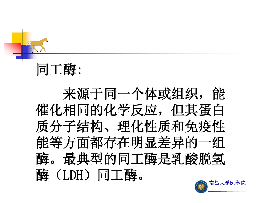 血清LDH同工酶测定.ppt_第3页