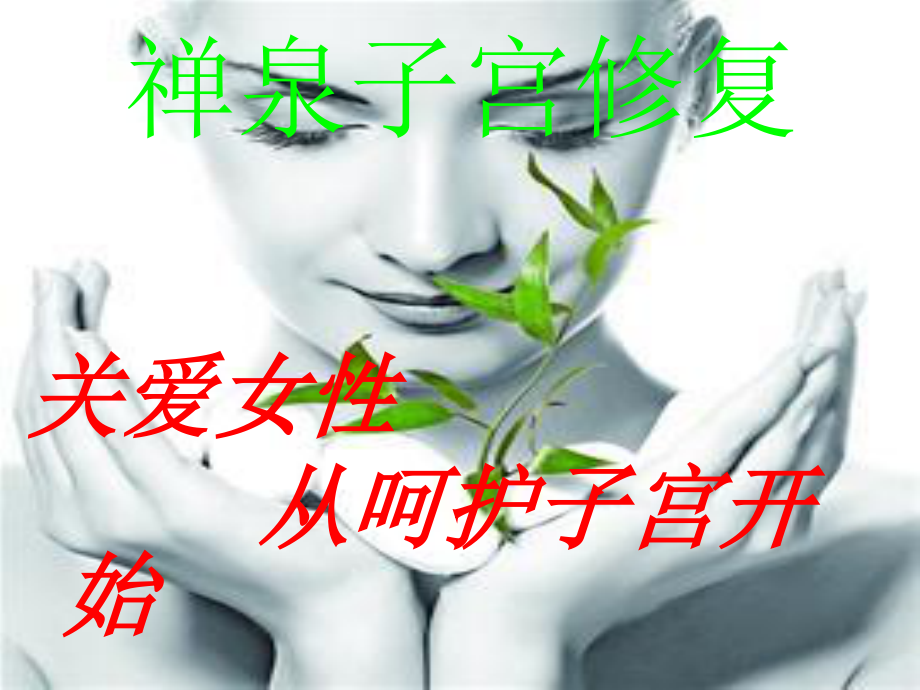 子宫与脏腑的关系.ppt_第1页