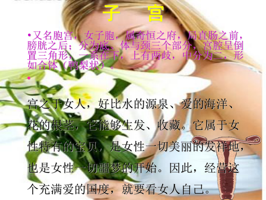 子宫与脏腑的关系.ppt_第2页