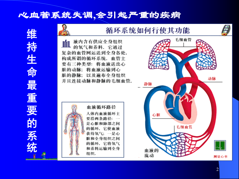 循环系统药.ppt_第2页