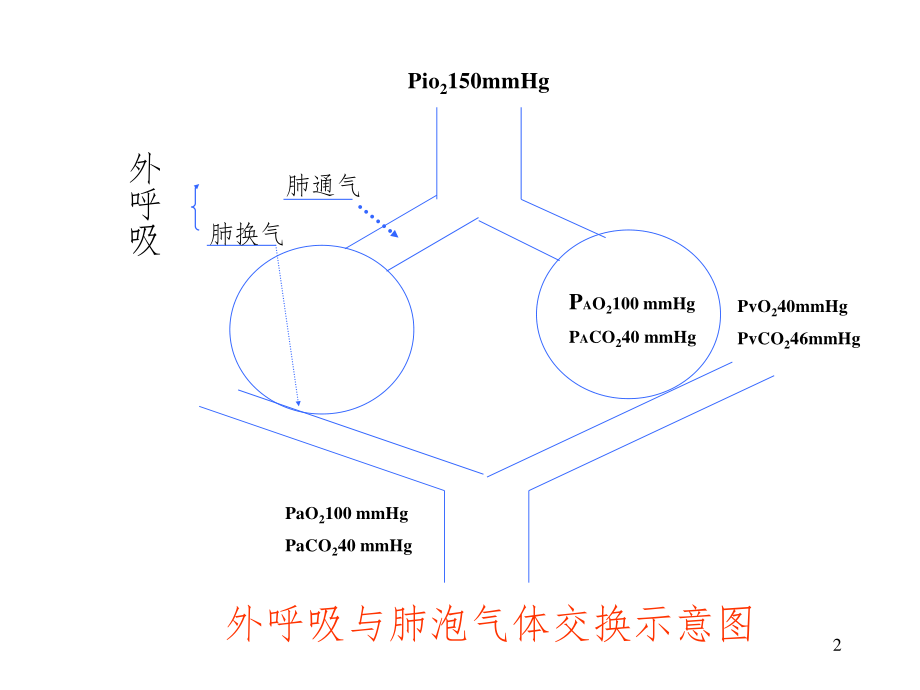 呼吸功能不全-呼吸衰竭.ppt_第2页