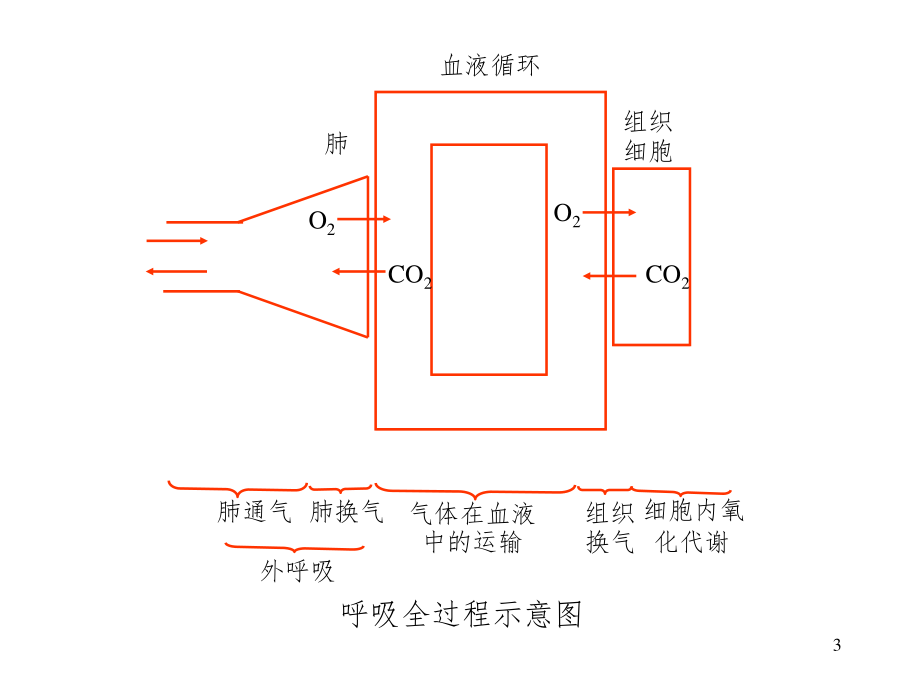 呼吸功能不全-呼吸衰竭.ppt_第3页