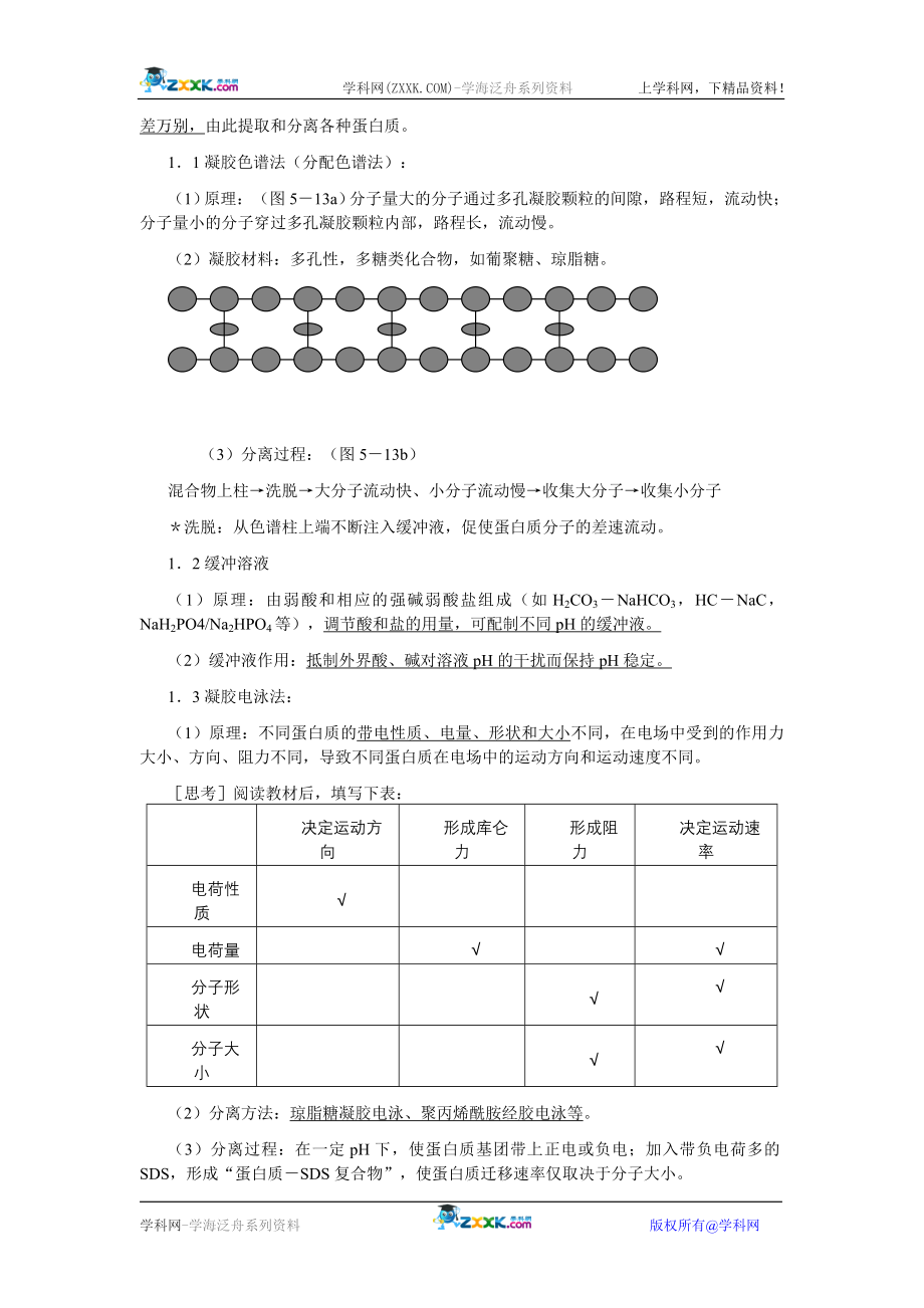 血红蛋白的提取和分离.doc_第2页