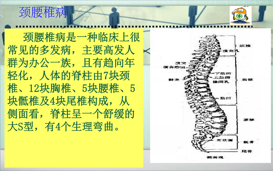 如何防治颈、腰椎病.ppt_第2页